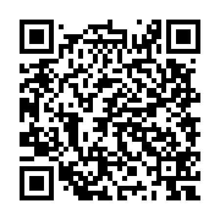 QR code for ZPN519