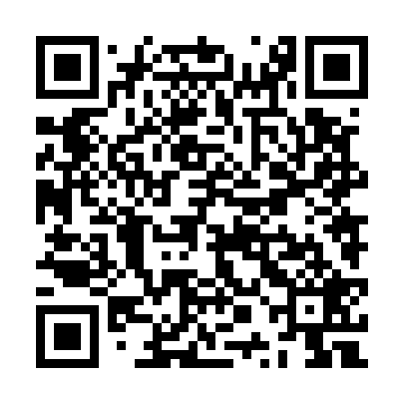 QR code for ZPN529