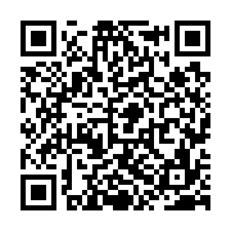 QR code for ZPN736