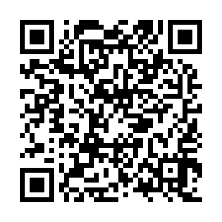 QR code for ZPN917