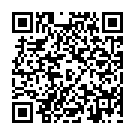 QR code for ZPN919