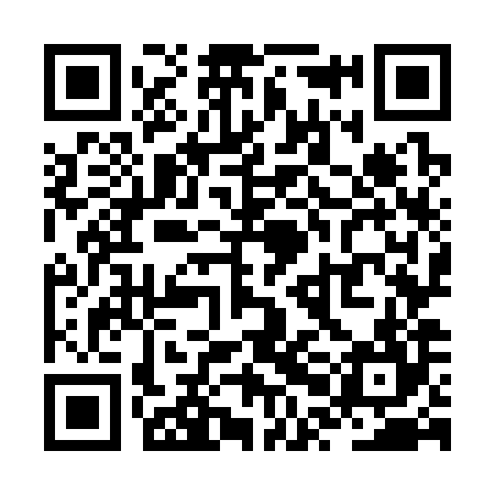 QR code for ZPO384