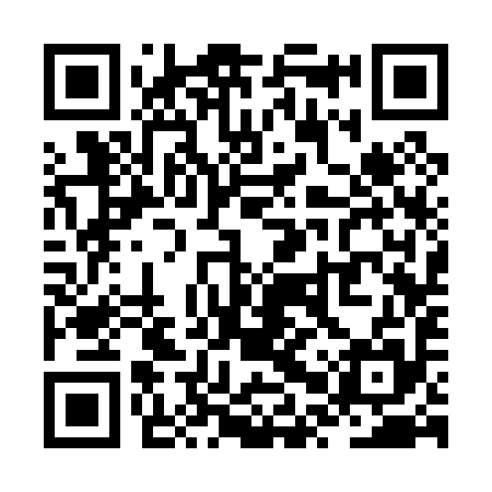 QR code for ZPS095