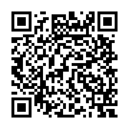 QR code for ZPS595