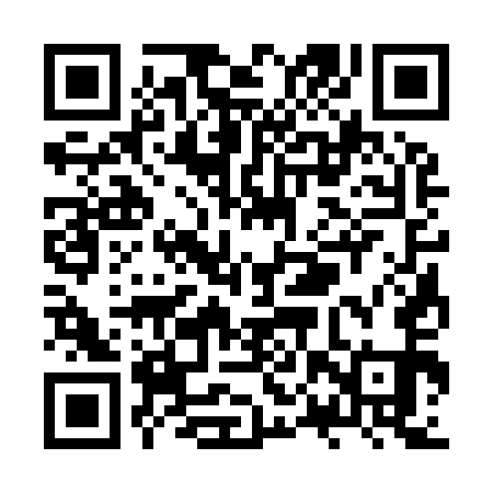 QR code for ZPS951