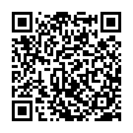 QR code for ZPT545