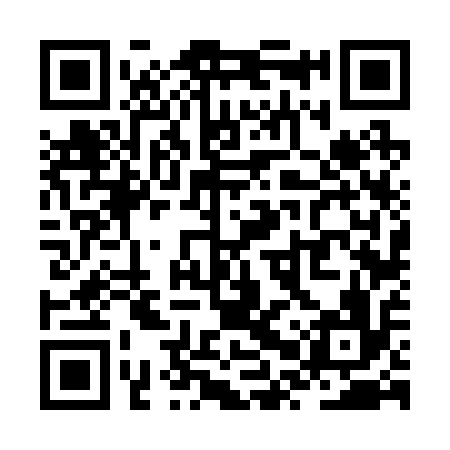 QR code for ZPV216