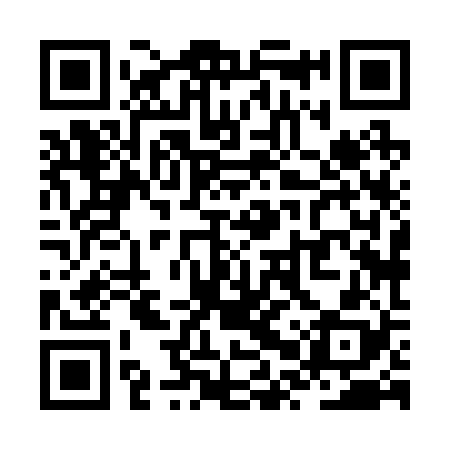 QR code for ZPX228