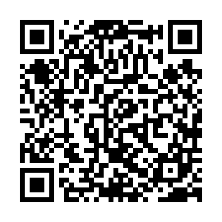 QR code for ZPX607