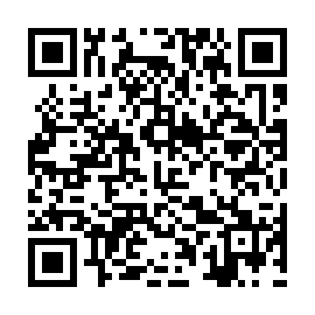 QR code for ZPY121