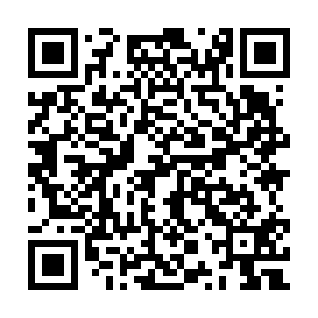 QR code for ZPY611