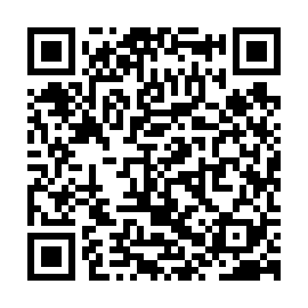 QR code for ZPY629