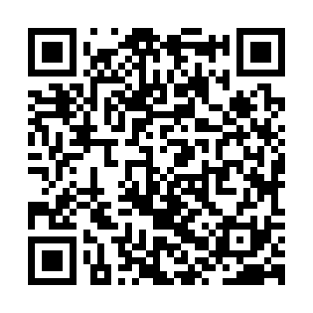 QR code for ZPZ331