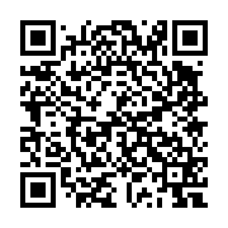 QR code for ZQA461