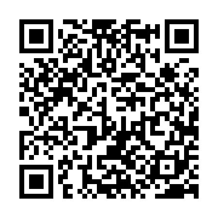 QR code for ZQD951