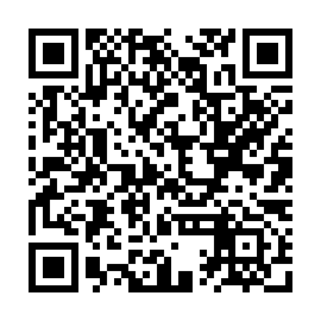 QR code for ZQF393