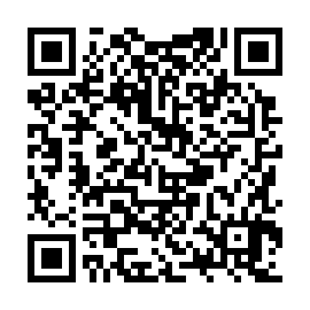 QR code for ZQH384