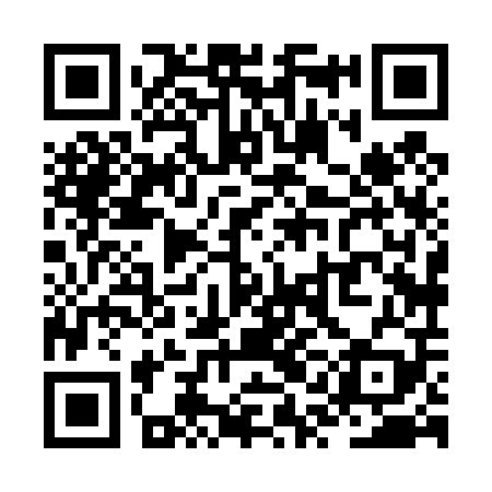QR code for ZQH409