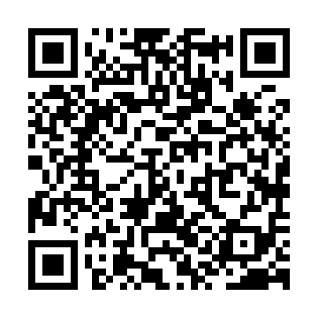 QR code for ZQH919