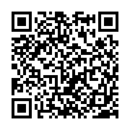 QR code for ZQI313