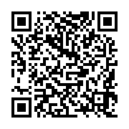 QR code for ZQI993