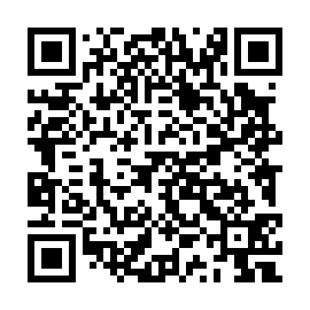 QR code for ZQL031