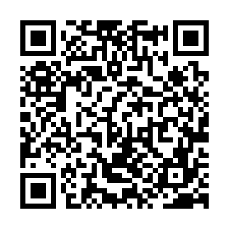 QR code for ZQL376