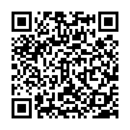 QR code for ZQL519