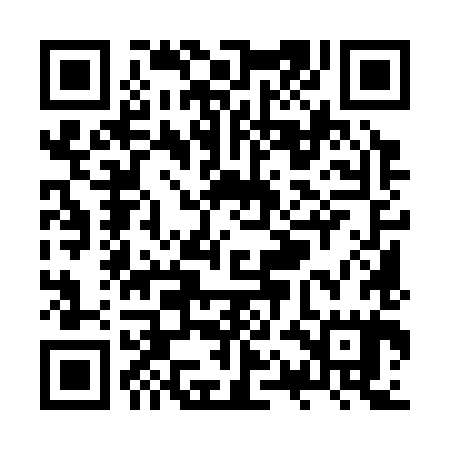 QR code for ZQM385