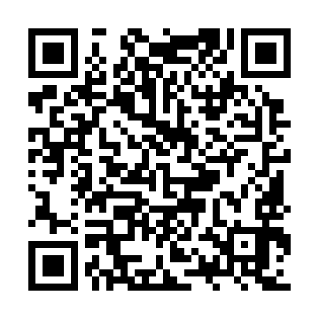 QR code for ZQM393