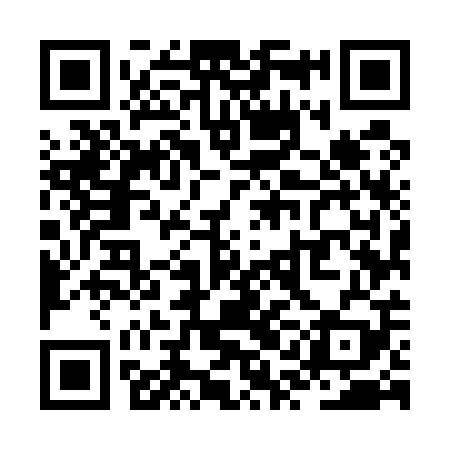 QR code for ZQM509