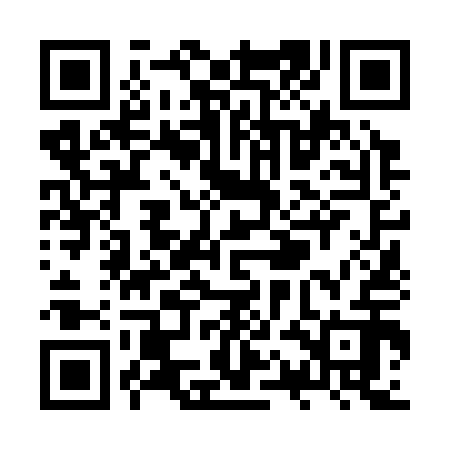 QR code for ZQN312