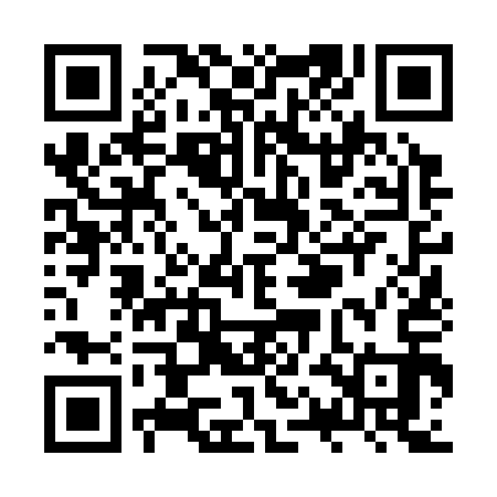 QR code for ZQN313