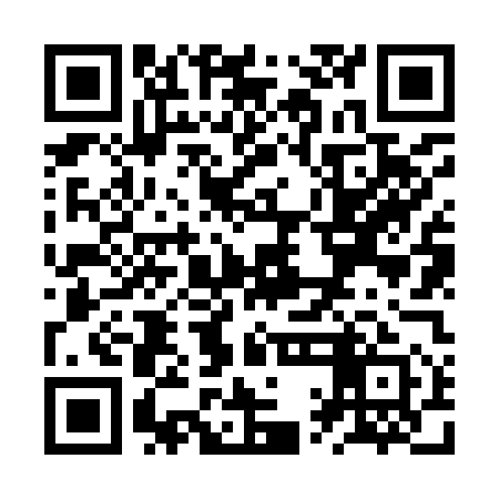 QR code for ZQN951
