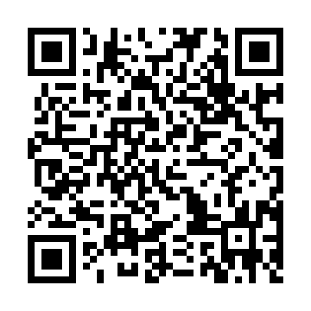 QR code for ZQN993