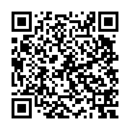 QR code for ZQR418