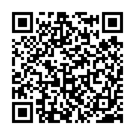 QR code for ZQS613