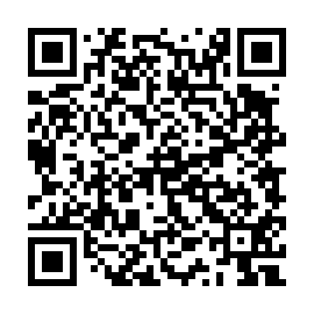 QR code for ZQT411