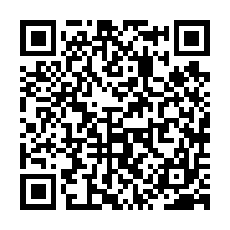 QR code for ZQX617