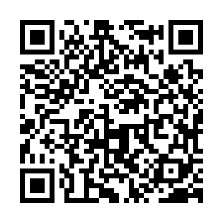 QR code for ZQZ369