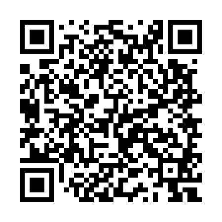 QR code for ZQZ580
