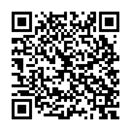 QR code for ZRG303