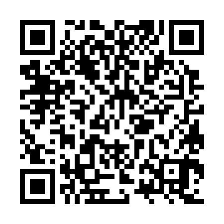 QR code for ZRG380