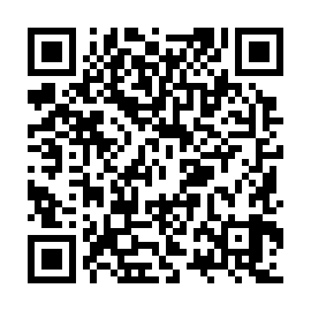 QR code for ZRI389