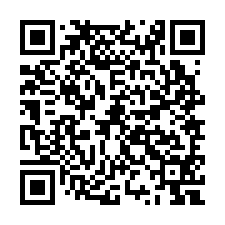 QR code for ZRJ394
