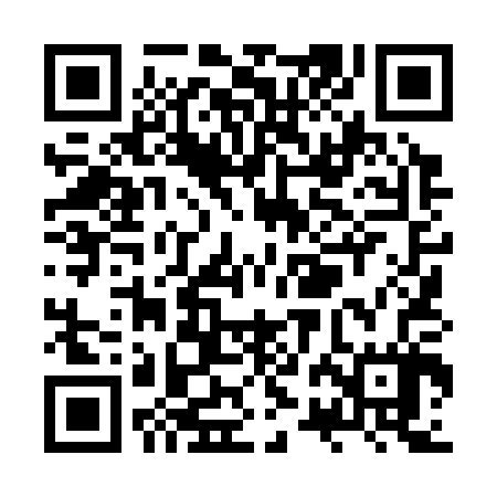 QR code for ZRL307