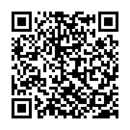 QR code for ZRN378