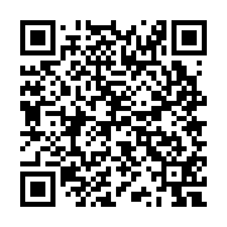 QR code for ZRU311