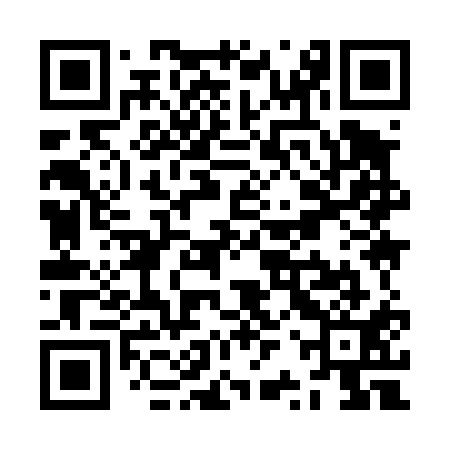 QR code for ZRY411