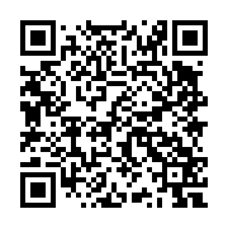 QR code for ZRY463